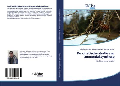 De kinetische studie van ammoniaksynthese