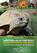 Mediterranean Tortoises: Gentle Creatures in Hard 