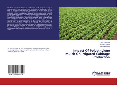 Impact Of Polyethylene Mulch On Irrigated Cabbage Production
