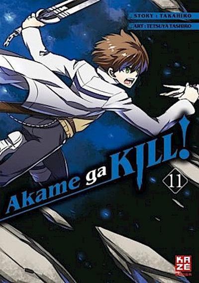 Akame ga KILL! 11