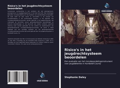Risico’s in het jeugdrechtsysteem beoordelen