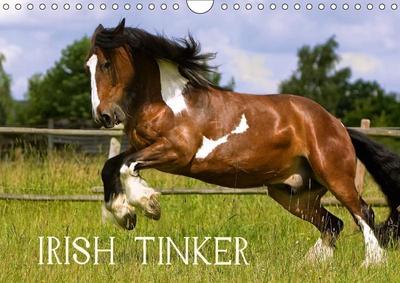 Irish Tinker (Wandkalender 2018 DIN A4 quer)