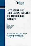 Developments in Solid Oxide Fuel Cells and Lithium Ion Batteries