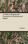 Guide to Keeping and Caring for the Domesticated P