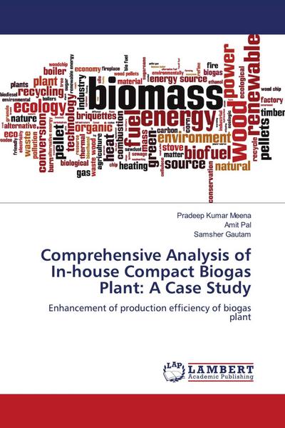 Comprehensive Analysis of In-house Compact Biogas Plant: A Case Study