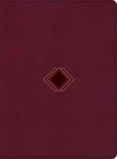 CSB Day-By-Day Chronological Bible, Burgundy Leathertouch