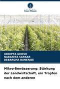Mikro-Bewässerung: Stärkung der Landwirtschaft, ei