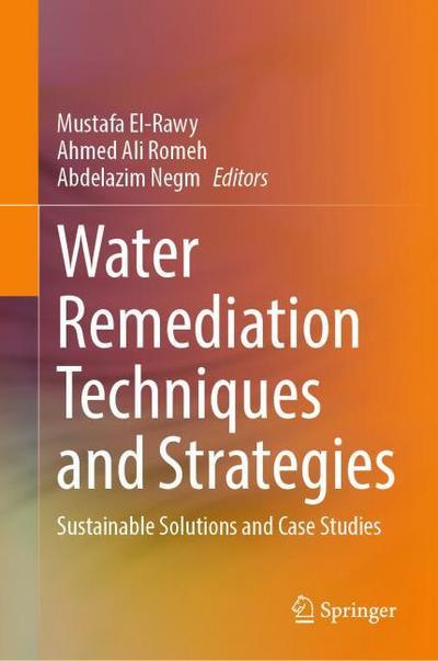 Water Remediation Techniques and Strategies