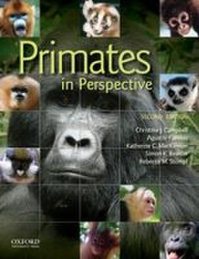 Primates in Perspective