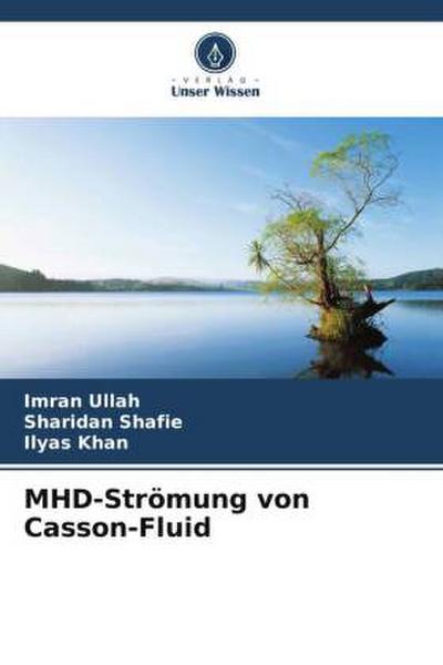 MHD-Strömung von Casson-Fluid