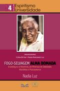Fogo-selvagem - Alma Indomada