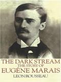 The Dark Stream