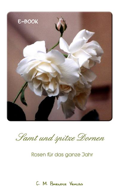Samt und spitze Dornen