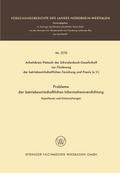 Probleme der betriebswirtschaftlichen Informationsverdichtung