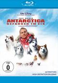 Antarctica - Gefangen im Eis
