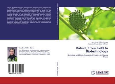 Datura, from Field to Biotechnology