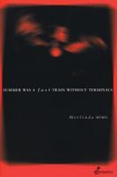 Summer Was a Fast Train Without Terminals