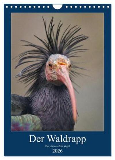 Der Waldrapp - Der etwas andere Vogel (Wandkalender 2026 DIN A4 hoch), CALVENDO Monatskalender