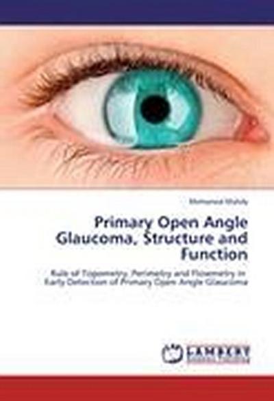 Primary Open Angle Glaucoma, Structure and Function