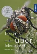 Insekten – überlebensgroß