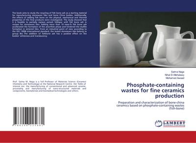 Phosphate-containing wastes for fine ceramics production