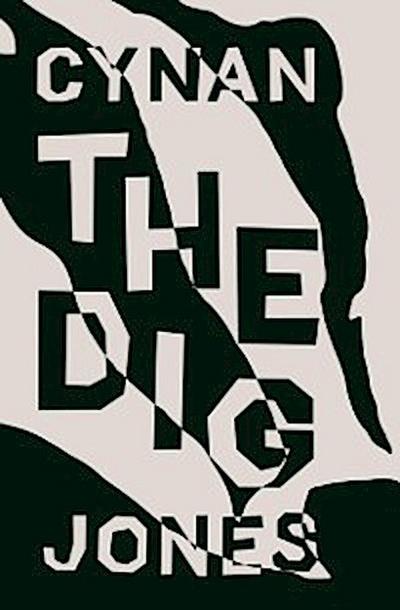 Dig