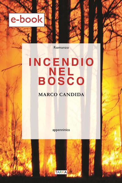 Incendio nel bosco