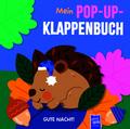 Mein Pop-Up-Klappenbuch - Gute Nacht