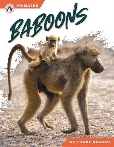 Baboons