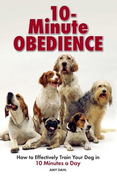 10 Minute Obedience