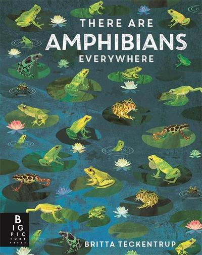 There Are Amphibians Everywhere