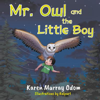 Mr. Owl and the Little Boy