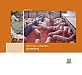 DLG-Futterwerttabellen - Schweine