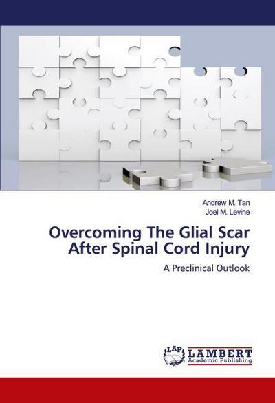 Overcoming The Glial Scar After Spinal Cord Injury