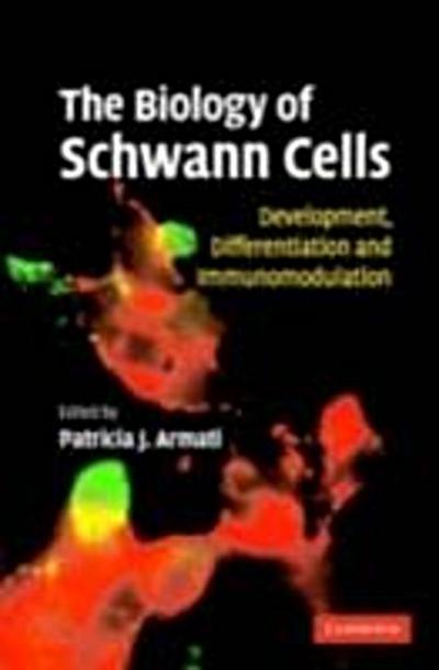 Biology of Schwann Cells