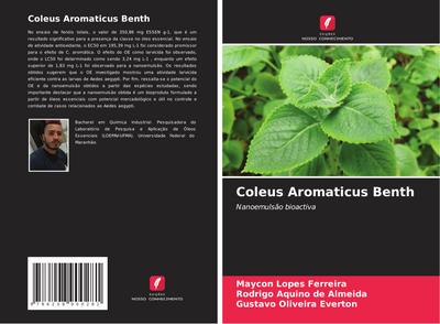 Coleus Aromaticus Benth