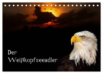 Der Weißkopfseeadler (Tischkalender 2024 DIN A5 quer), CALVENDO Monatskalender