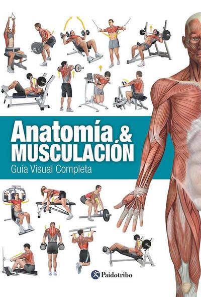 Anatomía & musculación : guía visual completa