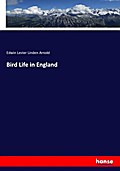 Bird Life in England
