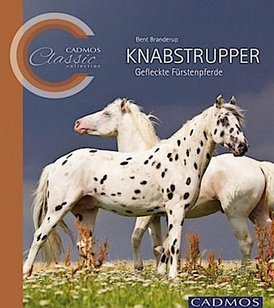 Knabstrupper