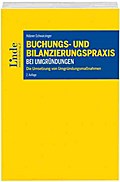 Buchungs- und Bilanzierungspraxis bei Umgründungen