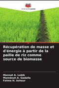 Récupération de masse et d’énergie à partir de la paille de riz comme source de biomasse