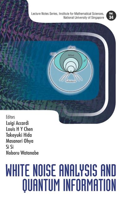 WHITE NOISE ANALYSIS AND QUANTUM INFORMATION