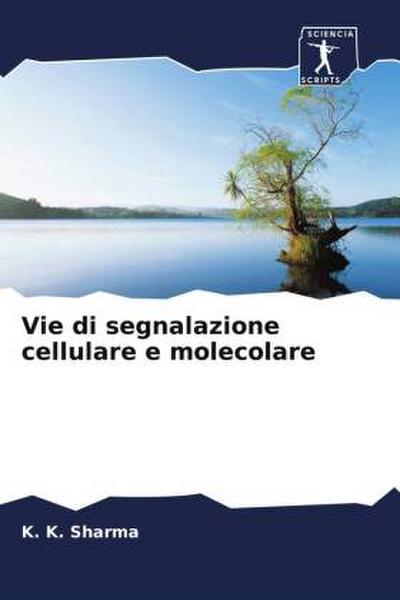 Vie di segnalazione cellulare e molecolare