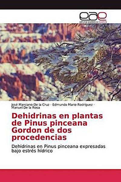 Dehidrinas en plantas de Pinus pinceana Gordon de dos procedencias