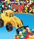 Toy
