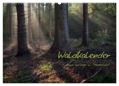 Waldkalender (Wandkalender 2026 DIN A2 quer), CALVENDO Monatskalender