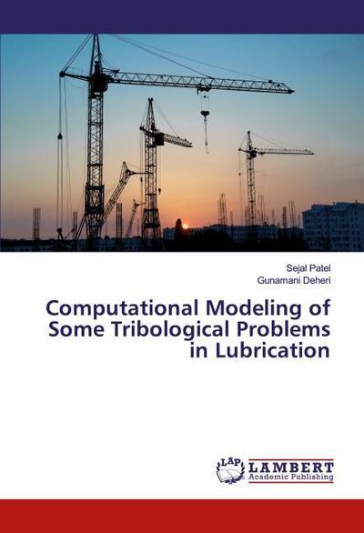 Computational Modeling of Some Tribological Problems in Lubrication