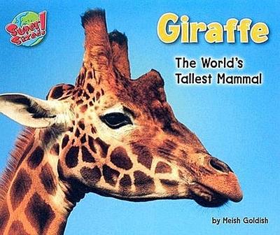 Giraffe: The World’s Tallest Mammal