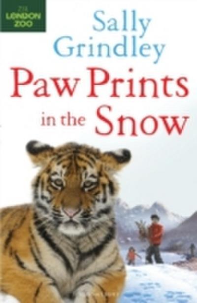 Paw Prints in the Snow